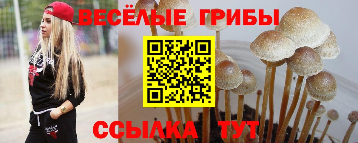 Галлюциногенные грибы Cubensis Стерлитамак